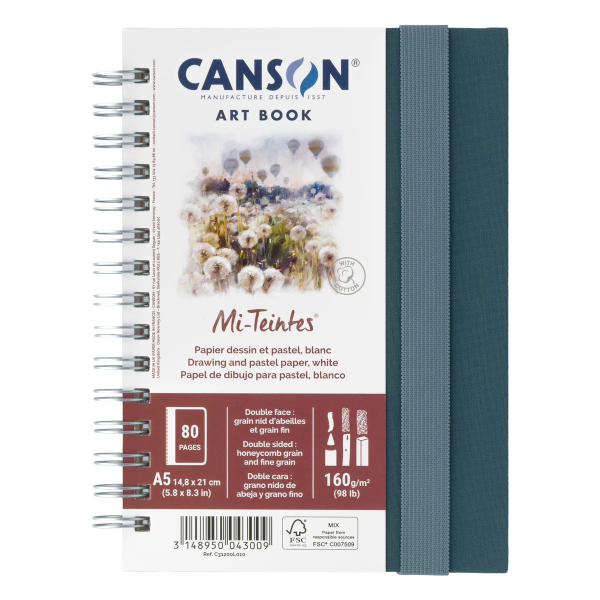 Canson Mi-Tientes Art Book - Pastel Sketchbook A5