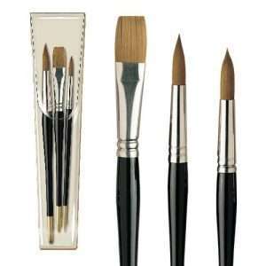 Pro Arte Prolene Brush Set - W5