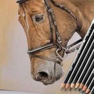 Derwent Graphitint Pencils